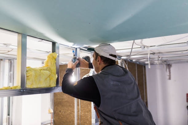 Best Commercial Insulation in Union Hill Novelty Hill, WA